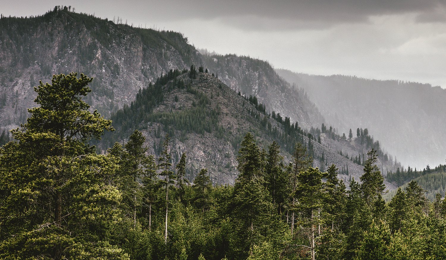 Yellowstone National Park scenic landscape