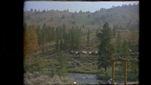 Cinematic landscape destination photography