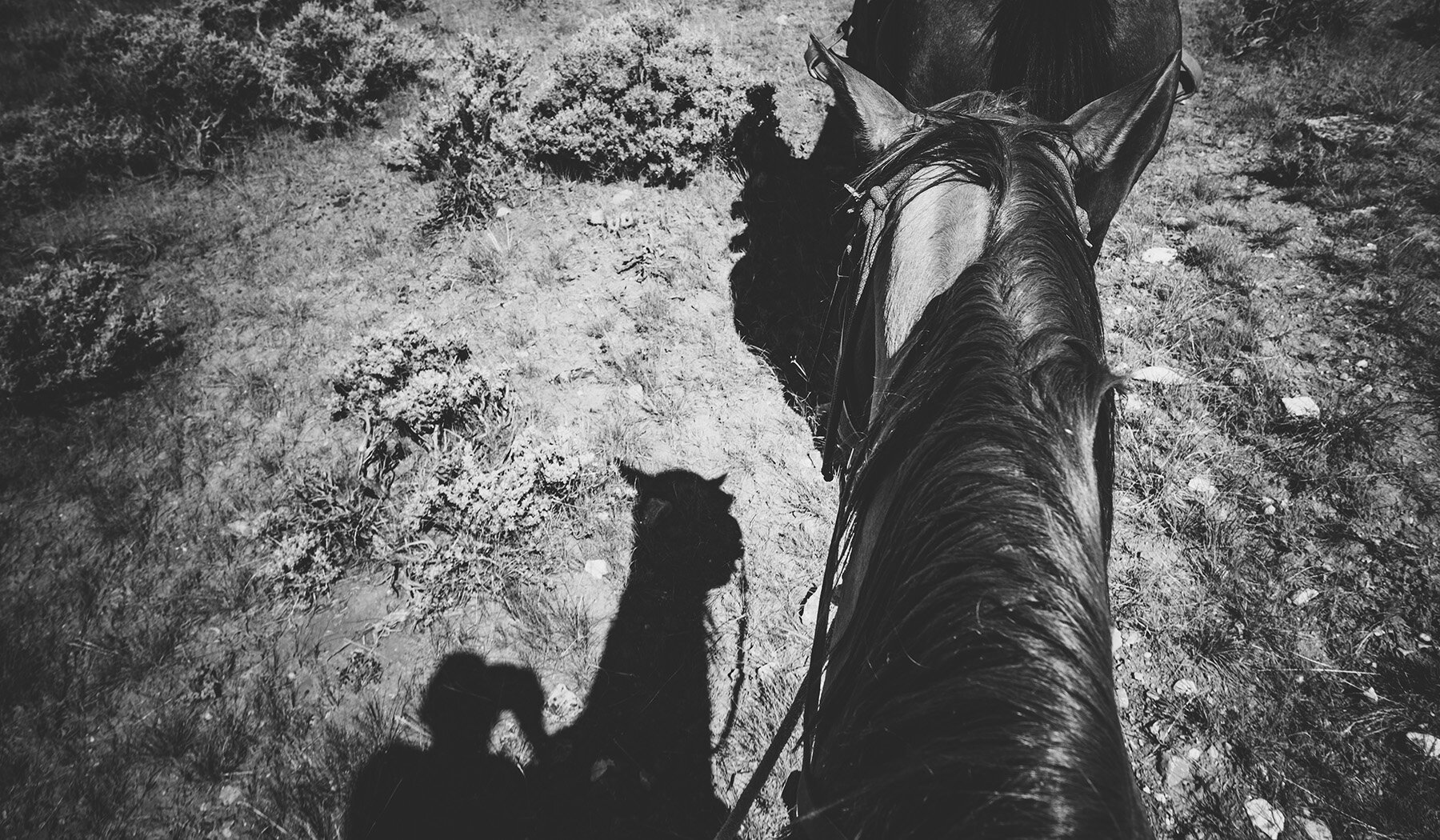 Behind the scenes on location